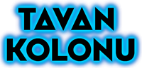 TAVAN-KOLONU-200