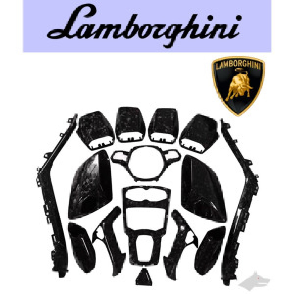 GrayWolf Huracan Dry Carbon Fiber Interior Kit | Lamborghini Huracan EVO Dry Carbon Fiber Dashboard Panel | Huracan EVO