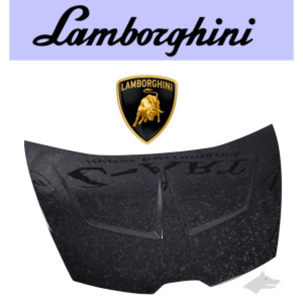 GrayWolf 1016 Style Carbon Fiber Front Trunk Cover Engine Bonnet Hood | Lamborghini Huracan LP580 LP610 LP640 EVO Dry Carbon Fiber